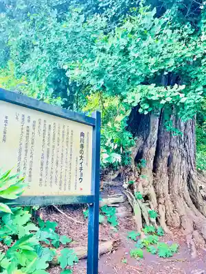 向川寺(山形県)