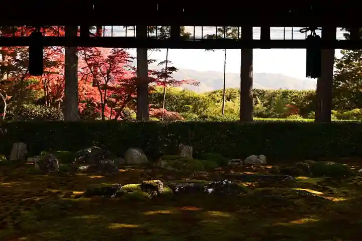 圓通寺(京都府)