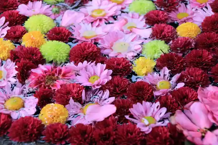 大鏑神社の手水舎
