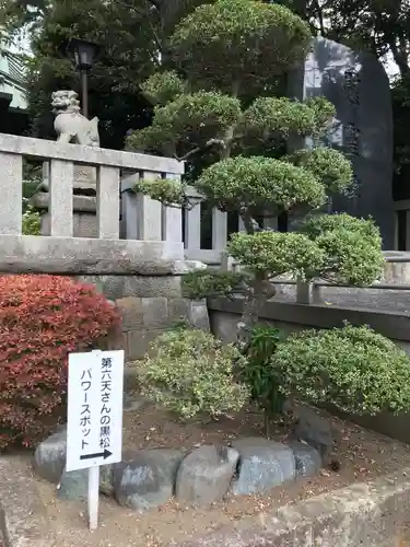 第六天神社の庭園