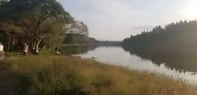 日枝神社の周辺