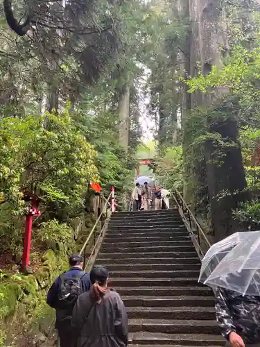 箱根神社(神奈川県)
