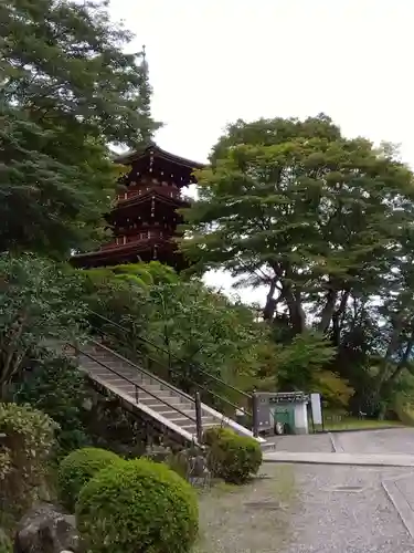 岡寺（龍蓋寺）(奈良県)
