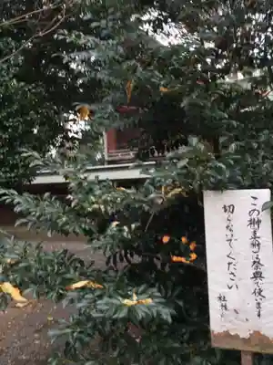 前鳥神社のその他建物