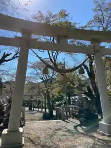 天鷹神社(岐阜県)(2022年10月26日(水) 00時24分02秒投稿)