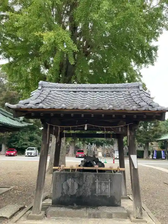 法華経寺(千葉県)
