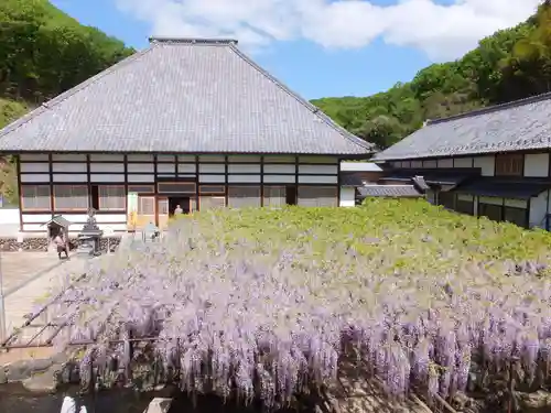 長泉寺の庭園