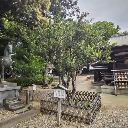 上地八幡宮の庭園