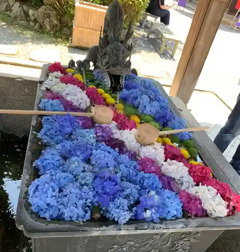 柳谷観音　楊谷寺の手水舎