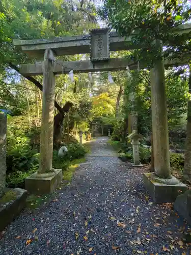 五所駒瀧神社の鳥居