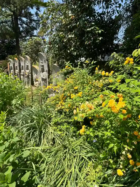 般若寺 ❁コスモス寺❁(奈良県)