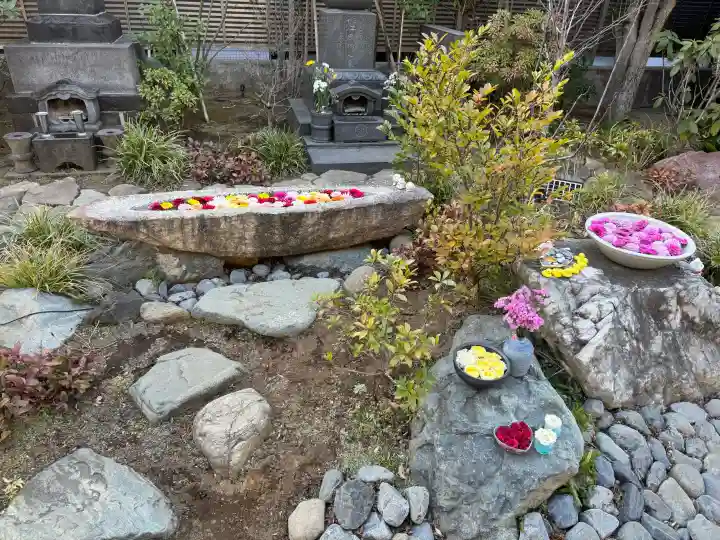 法輪寺の{uncategorized: "未分類", other: "その他", undefined: "問題あり", building: "その他建物", grave: "お墓", sacred_gate: "鳥居", guardian: "狛犬", statue: "像", buddha: "仏像", history: "歴史", nature: "自然", garden: "庭園", animal: "動物", pagoda: "塔", temizu: "手水舎", mountain_gate: "山門・神門", sanctuary: "本殿・本堂", subordinate: "末社・摂社", art: "芸術", scenery: "景色", jizo: "地蔵", ema: "絵馬", goshuin: "御朱印", omikuji: "おみくじ", items: "授与品その他", amulet: "お守り", goshuincho: "御朱印帳", eats: "食事", festival: "お祭り", votive_dance: "神楽", shichigosan: "七五三参", wedding: "結婚式", experience: "体験その他", initially: "初詣", around: "周辺", anti_infection: "感染症対策"}