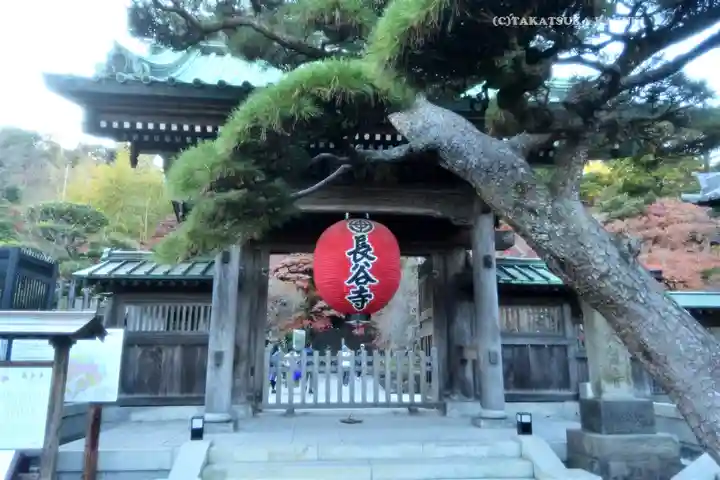 長谷寺(神奈川県)