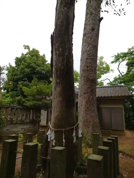 伊古乃速御玉比売神社の自然