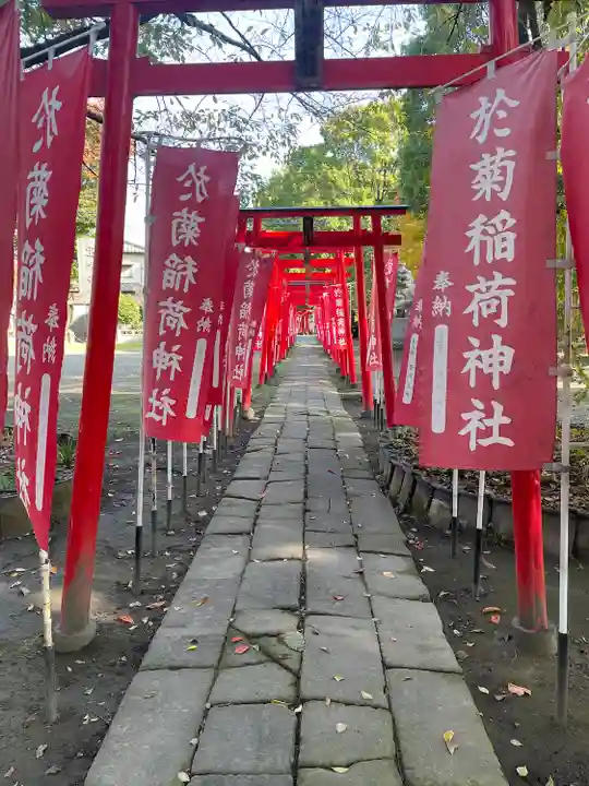於菊稲荷神社の鳥居