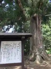 糠部神社(青森県)