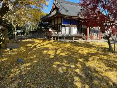 白子神社の{uncategorized: "未分類", other: "その他", undefined: "問題あり", building: "その他建物", grave: "お墓", sacred_gate: "鳥居", guardian: "狛犬", statue: "像", buddha: "仏像", history: "歴史", nature: "自然", garden: "庭園", animal: "動物", pagoda: "塔", temizu: "手水舎", mountain_gate: "山門・神門", sanctuary: "本殿・本堂", subordinate: "末社・摂社", art: "芸術", scenery: "景色", jizo: "地蔵", ema: "絵馬", goshuin: "御朱印", omikuji: "おみくじ", items: "授与品その他", amulet: "お守り", goshuincho: "御朱印帳", eats: "食事", festival: "お祭り", votive_dance: "神楽", shichigosan: "七五三参", wedding: "結婚式", experience: "体験その他", initially: "初詣", around: "周辺", anti_infection: "感染症対策"}