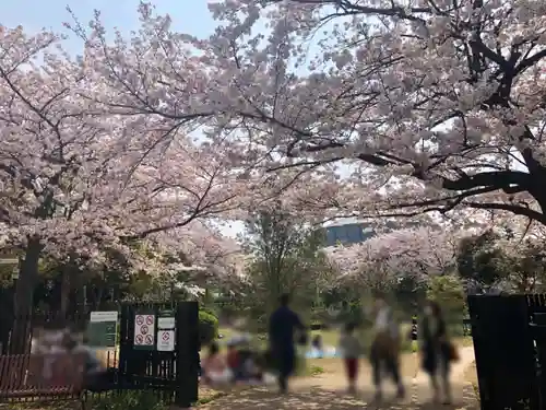 おりひめ神社の自然