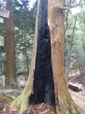 首塚大明神の自然