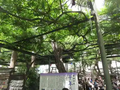 國領神社(東京都)
