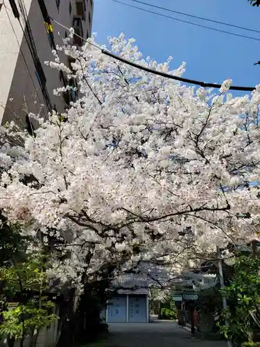秋葉神社(東京都)