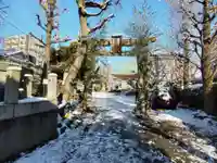 白鬚神社の鳥居