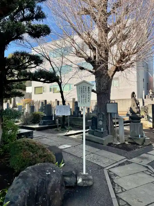 瑞円寺の{uncategorized: "未分類", other: "その他", undefined: "問題あり", building: "その他建物", grave: "お墓", sacred_gate: "鳥居", guardian: "狛犬", statue: "像", buddha: "仏像", history: "歴史", nature: "自然", garden: "庭園", animal: "動物", pagoda: "塔", temizu: "手水舎", mountain_gate: "山門・神門", sanctuary: "本殿・本堂", subordinate: "末社・摂社", art: "芸術", scenery: "景色", jizo: "地蔵", ema: "絵馬", goshuin: "御朱印", omikuji: "おみくじ", items: "授与品その他", amulet: "お守り", goshuincho: "御朱印帳", eats: "食事", festival: "お祭り", votive_dance: "神楽", shichigosan: "七五三参", wedding: "結婚式", experience: "体験その他", initially: "初詣", around: "周辺", anti_infection: "感染症対策"}