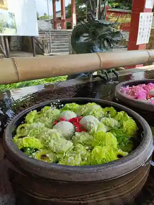 津島神社の手水舎