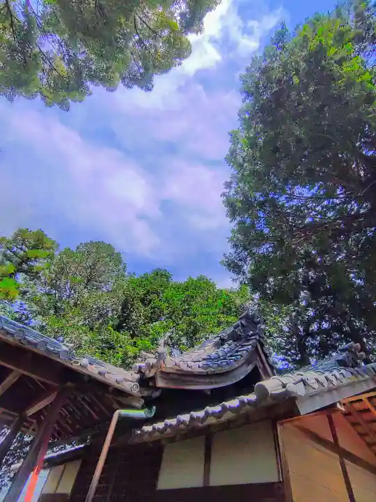 八幡社(山尻町)の本殿・本堂