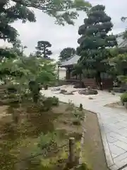 圓光禅寺の庭園
