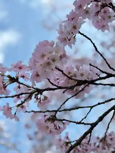 熊野本宮大社(和歌山県)