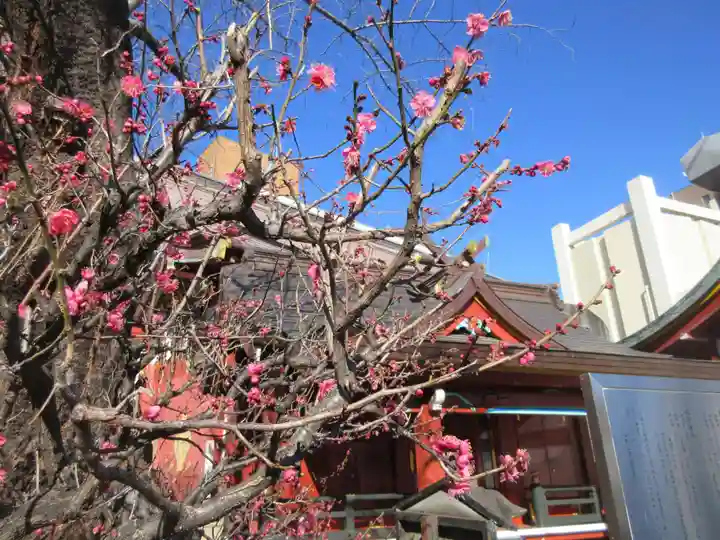 神田神社(神田明神)(東京都)