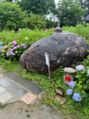 般若寺 ❁﻿コスモス寺❁(奈良県)