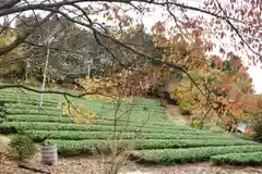 泥洹寺の庭園