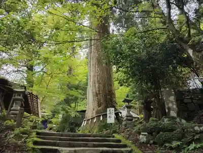 英彦山豊前坊高住神社(福岡県)