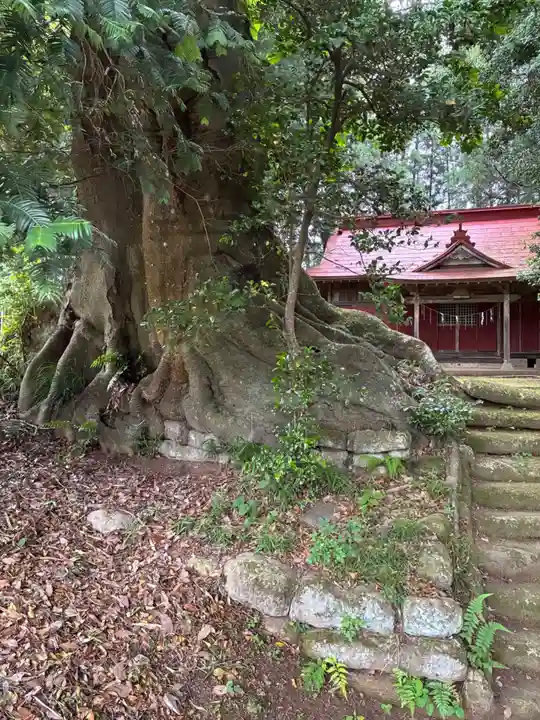 高房神社(茨城県)