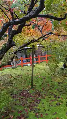 大原野神社(京都府)