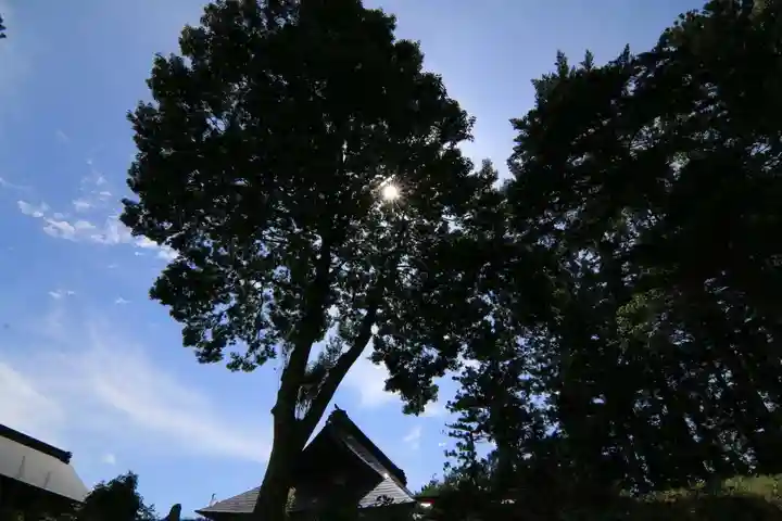 長屋神社の自然