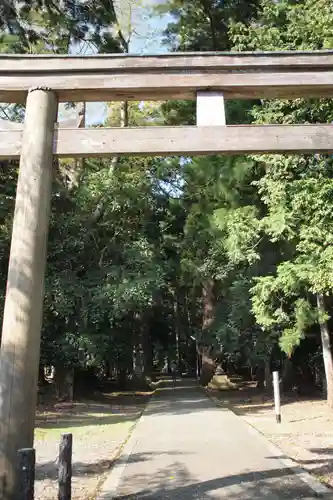 若狭彦神社（上社）の鳥居