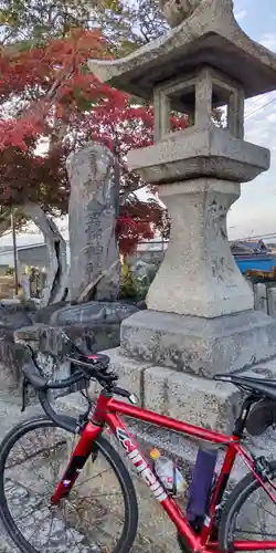 棚倉孫神社(京都府)