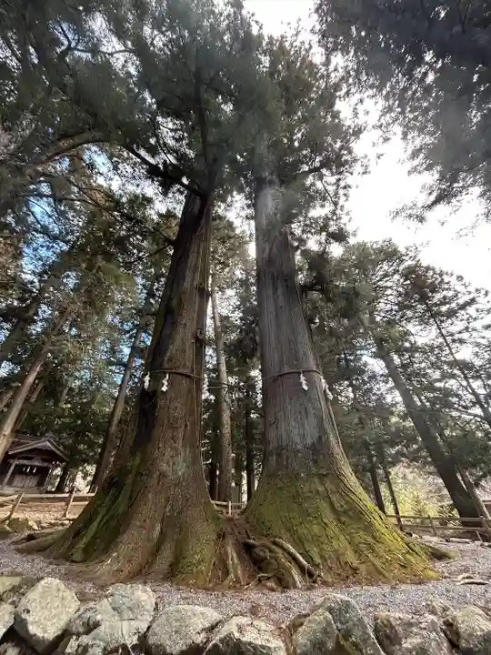河口浅間神社(山梨県)