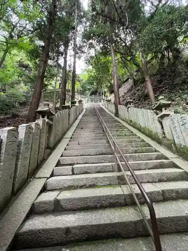 天別豊姫神社の景色