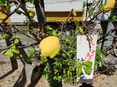 船寺神社の自然