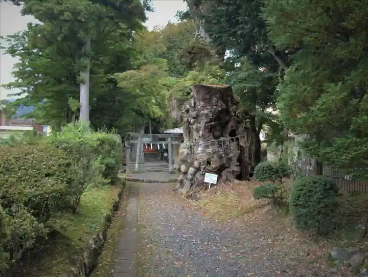 花石神社の自然