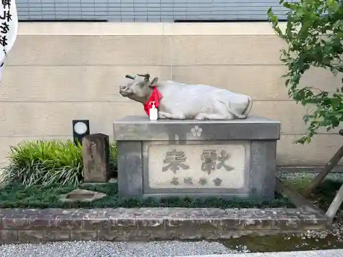 櫻天神社の狛犬