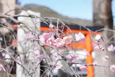瀧宮神社(広島県)