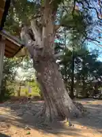 新御堂稲荷神社(千葉県)