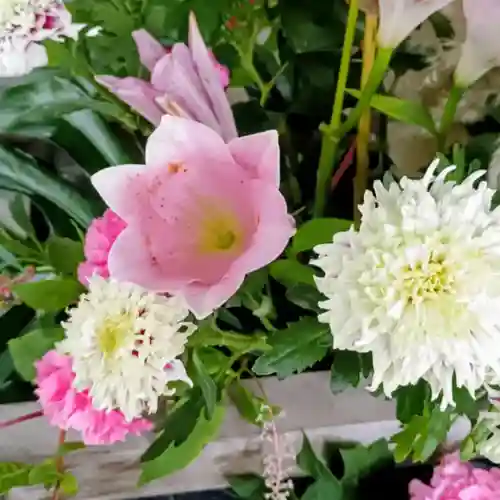 彌彦神社　(伊夜日子神社)(北海道)