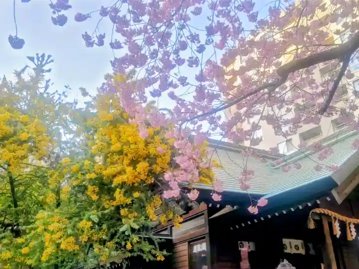 蔵前神社の{uncategorized: "未分類", other: "その他", undefined: "問題あり", building: "その他建物", grave: "お墓", sacred_gate: "鳥居", guardian: "狛犬", statue: "像", buddha: "仏像", history: "歴史", nature: "自然", garden: "庭園", animal: "動物", pagoda: "塔", temizu: "手水舎", mountain_gate: "山門・神門", sanctuary: "本殿・本堂", subordinate: "末社・摂社", art: "芸術", scenery: "景色", jizo: "地蔵", ema: "絵馬", goshuin: "御朱印", omikuji: "おみくじ", items: "授与品その他", amulet: "お守り", goshuincho: "御朱印帳", eats: "食事", festival: "お祭り", votive_dance: "神楽", shichigosan: "七五三参", wedding: "結婚式", experience: "体験その他", initially: "初詣", around: "周辺", anti_infection: "感染症対策"}