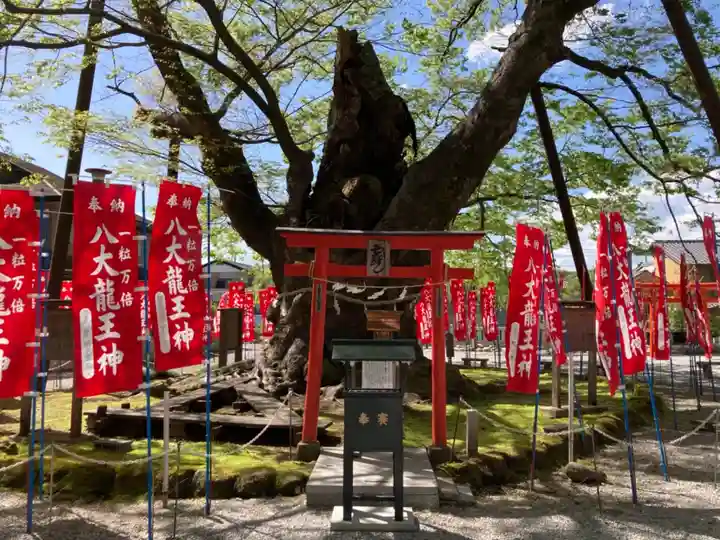 秩父今宮神社の自然